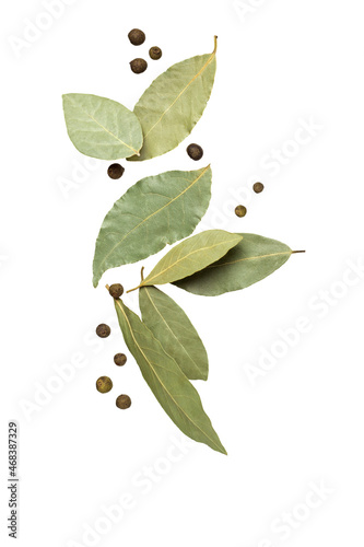 Obraz na plátne Bay leaf and allspice falling on a white background.