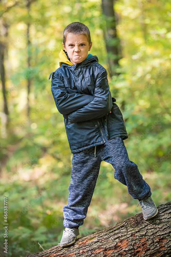 Young Boy standing on Fallen Down Tree Trunk and Catching Balance