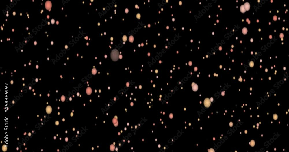 fireworks in the night sky fireworks in the night sky