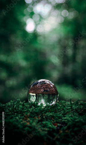 glass ball in forest