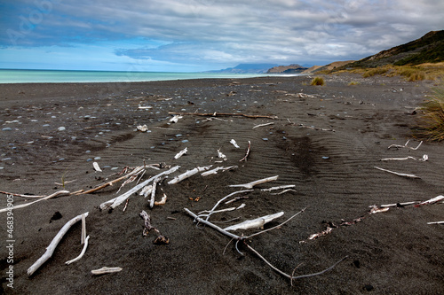 Debris and driftwood on Rarangi Beach in New Zealand photo