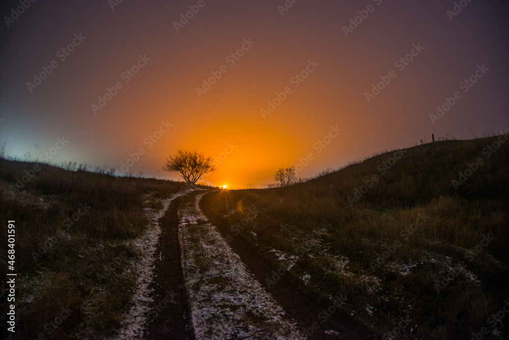 tree and flare  forest in the night . Night landscape. Nightsky and clouds . Stars in the sky . Lights of the city . Morning forest . Evening forest  . Landscapes of Ukraine . Night and morning time 