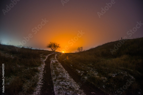 tree and flare  forest in the night . Night landscape. Nightsky and clouds . Stars in the sky . Lights of the city . Morning forest . Evening forest  . Landscapes of Ukraine . Night and morning time  © Александр Рябинин