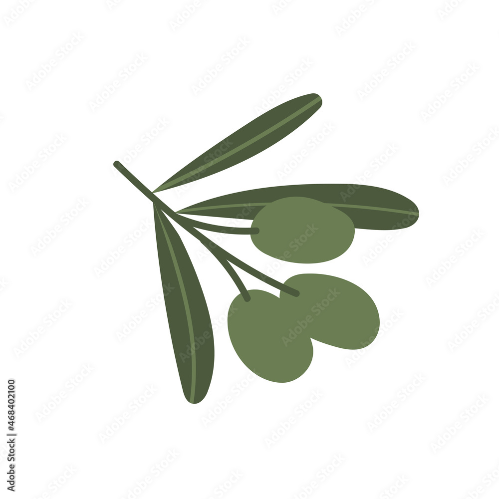 Olive branch with leaves and fruits isolated. Green sprig with Mediterranean plant. Vector flat illustration on white background Olive branch with leaves and fruits isolated. Green sprig with Mediterranean plant. Vector flat illustration on white background