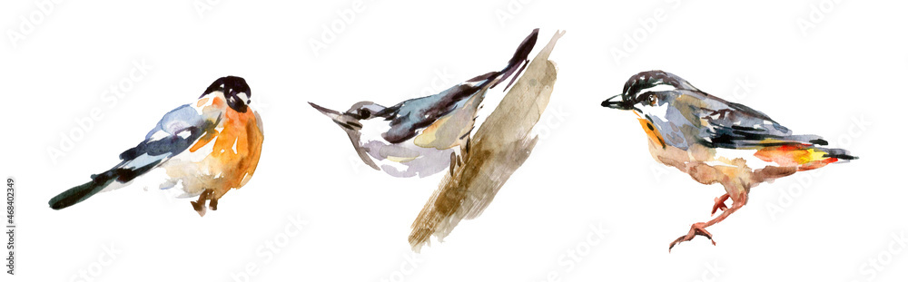 Obraz premium Set of spring watercolor drawn birds isolated on white background