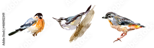Set of spring watercolor drawn birds isolated on white background