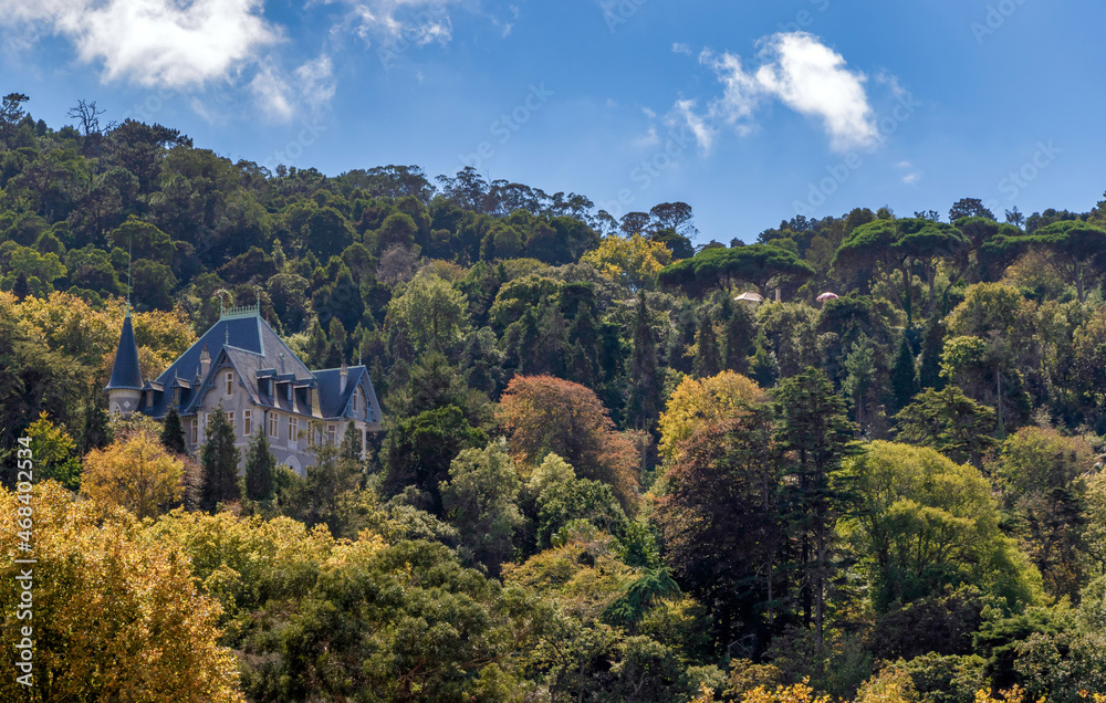 Obraz premium landscape with trees and a palace in the mountains