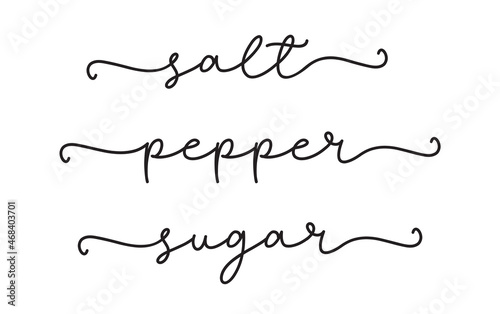 SALT, PEPPER, SUGAR. Vector text spice isolated on a white background. Kitchen ingredient for food and cooking: sugar, salt and pepper. Typography script words salt and sugar.