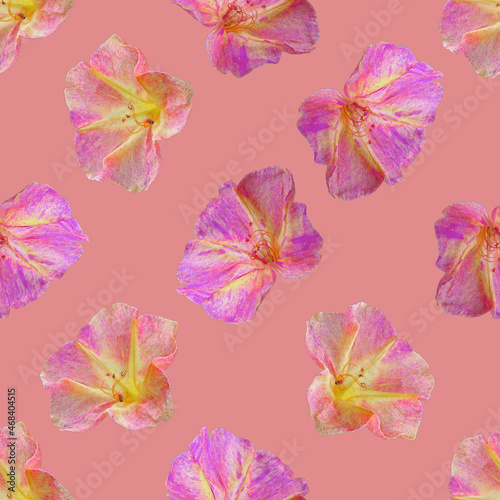 Pink flower seamless pattern. Pink flower texture. © homeworlds