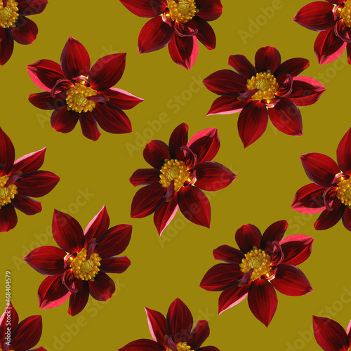 Burgundy dahlia flower seamless pattern. The texture of the burgundy dahlia flower. 