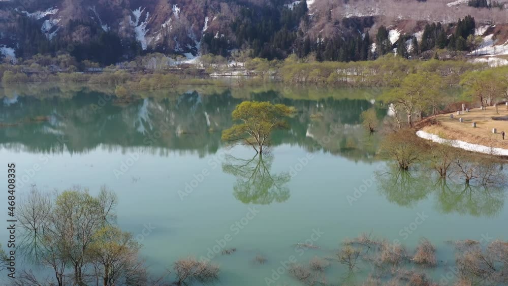 水没林　夜明け