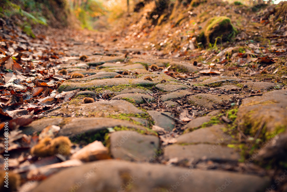 Fototapeta premium Roman road from Barcena From Pie de Concha to Pesquera