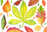 Colorful autumn leaves. Watercolor hand painting illustration isolated on white background.