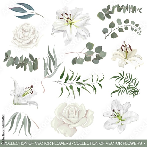 Vector flower set. White royal lilies, eucalyptus, leaves and plants. All plants isolated on white background