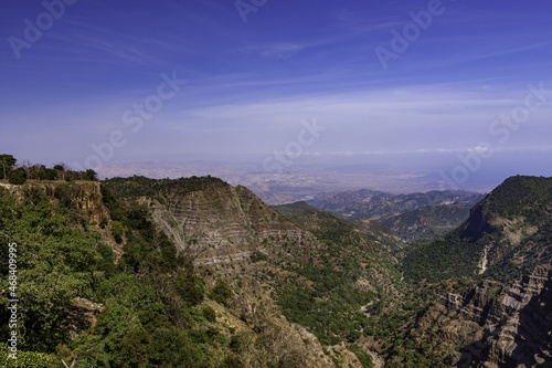 Scenic view from Day Forest National Park in Djibouti photo