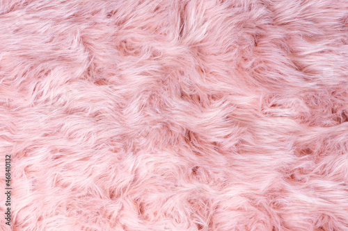 Pink fur texture top view. Pink sheepskin background. Fur pattern. Texture of pink shaggy fur. Wool texture. Sheep fur close up © missmimimina