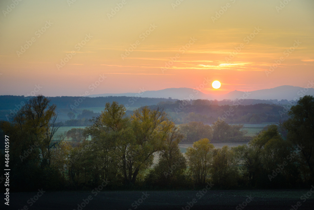 Autumnal Park. Autumn Trees and Leaves. Fall Autumnal Park. Autumn Trees and Leaves. Fall