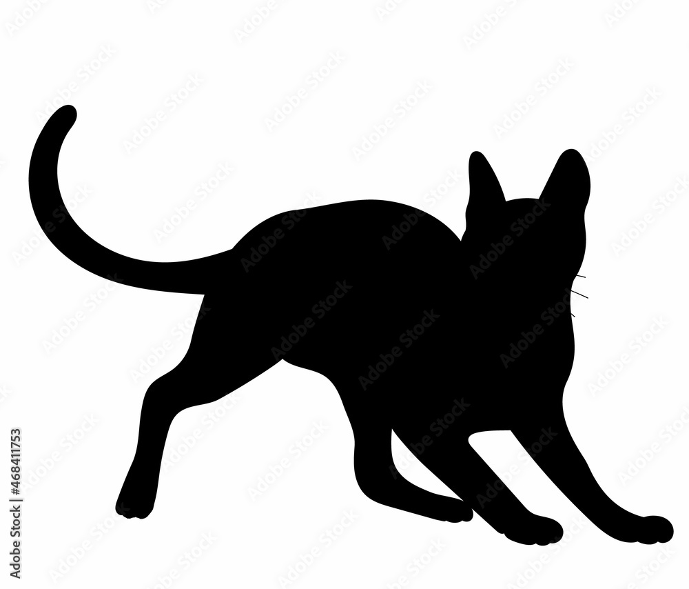 black silhouette of a cat on a white background, vector