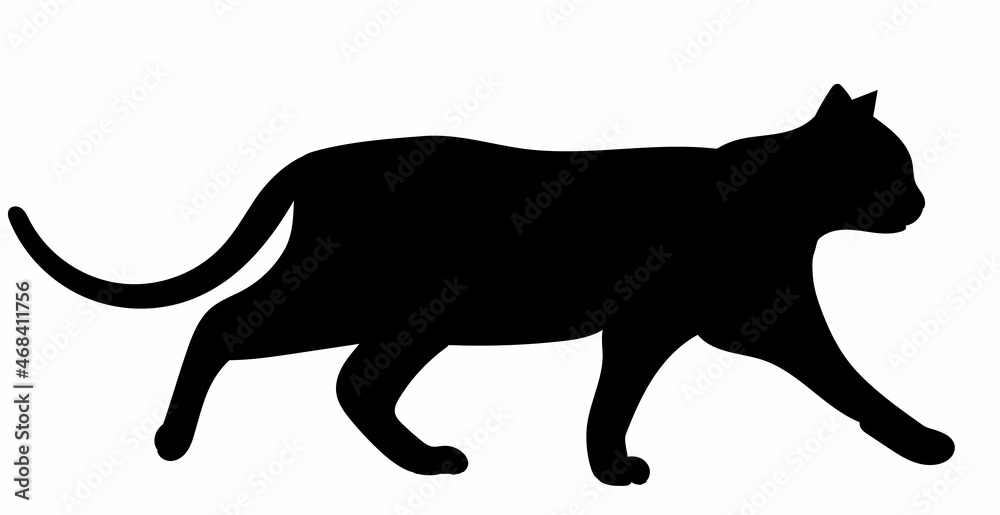 black silhouette of a cat on a white background, vector, isolated
