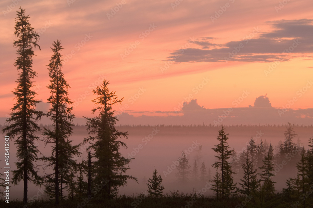 Obraz premium misty morning 