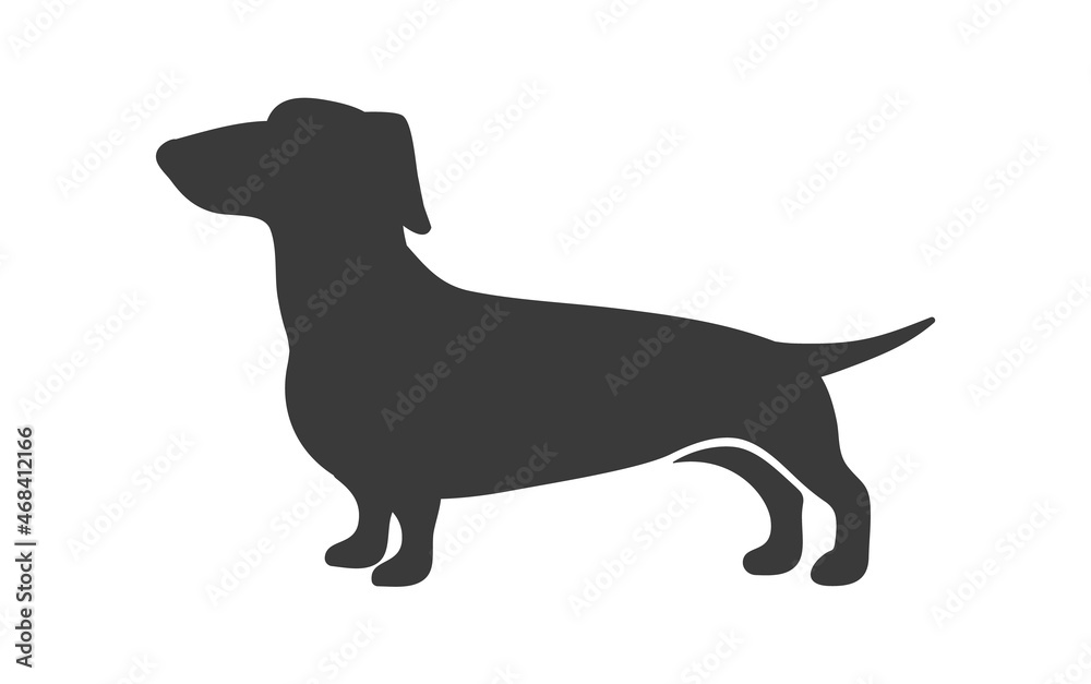 Dachshund silhouette. Sausage hunting dog breed, dachschund long size, teckel canine companion, vector icon