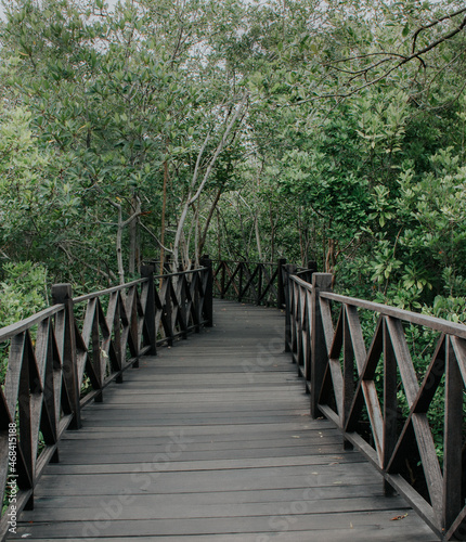 wooden bridge in the forest © Jaya