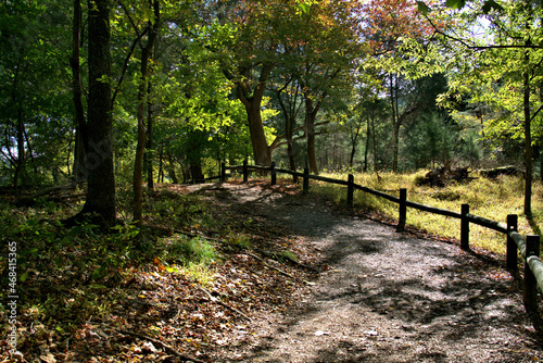 Hiking trail in the morning sunlight