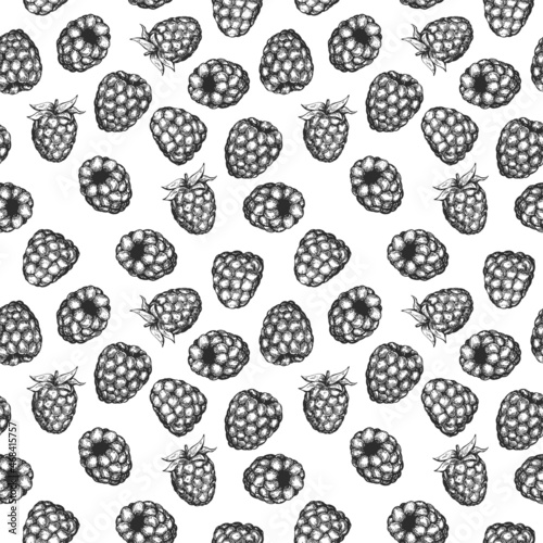 Hand drawing seamless pattern with raspberries in monochrome sketch engraved style isolated on white background. Design for branding textile or market cover, cloth. Botanical vector illustration.