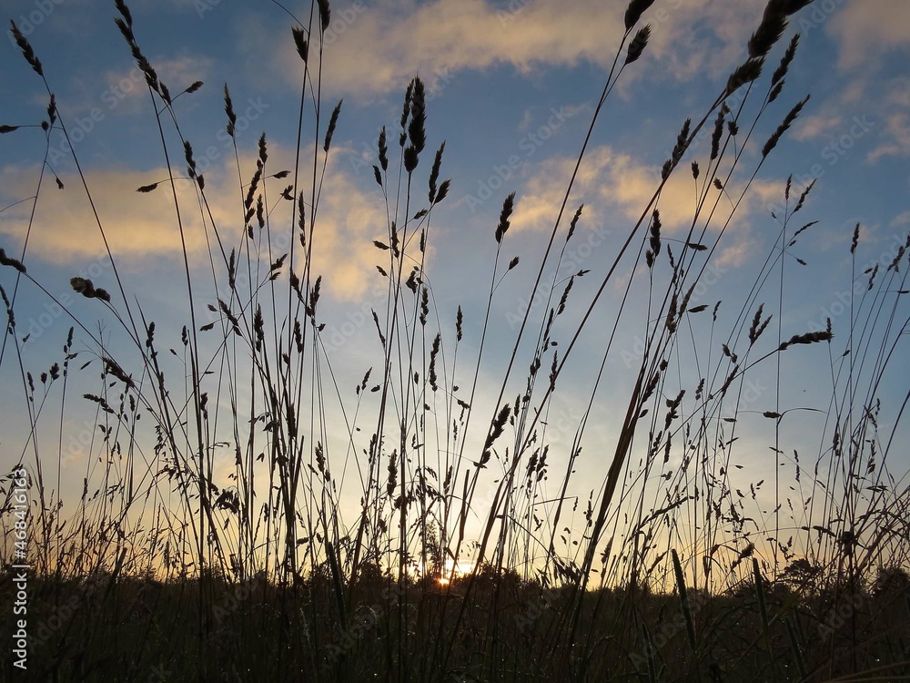 sun rising behind the crops in the countryside sun rising behind the crops in the countryside