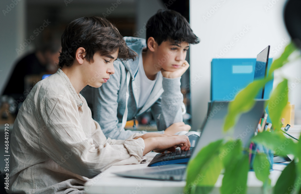 Obraz premium Students working with computers in the lab