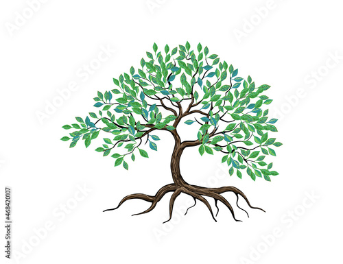 green mangrove vector image