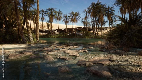 pond and palm trees in desert oasis photo