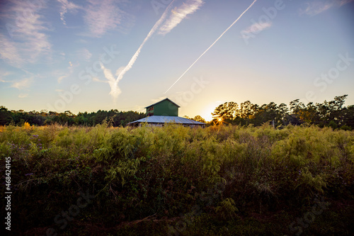A green barn at sunset