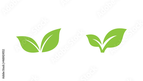Green leaf logo or icon vector