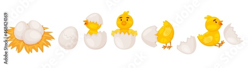 Cartoon chicken hatching from egg, cute newborn chicks. Funny little baby chick in eggshell, farm bird nest with eggs vector illustration. Yellow character sitting in cracked shell