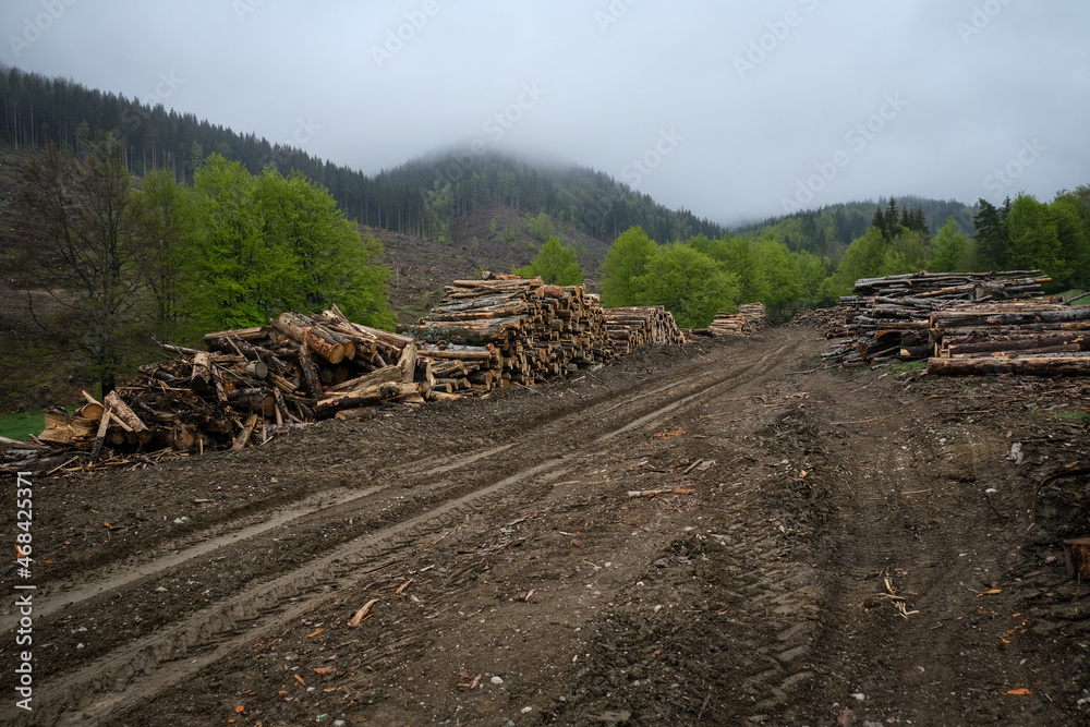Massive deforestation in Ciucas Mountains, Romania. Situated in Europe, Ciucas mountains are part of the Carpathian mountain range. Massive deforestation in Ciucas Mountains, Romania. Situated in Europe, Ciucas mountains are part of the Carpathian mountain range.