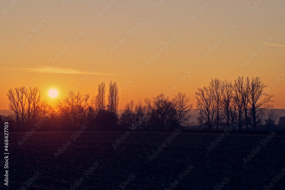 Nice evening landscape with trees in silhouettes. Dark soil of a field. Sunset. Copy space.