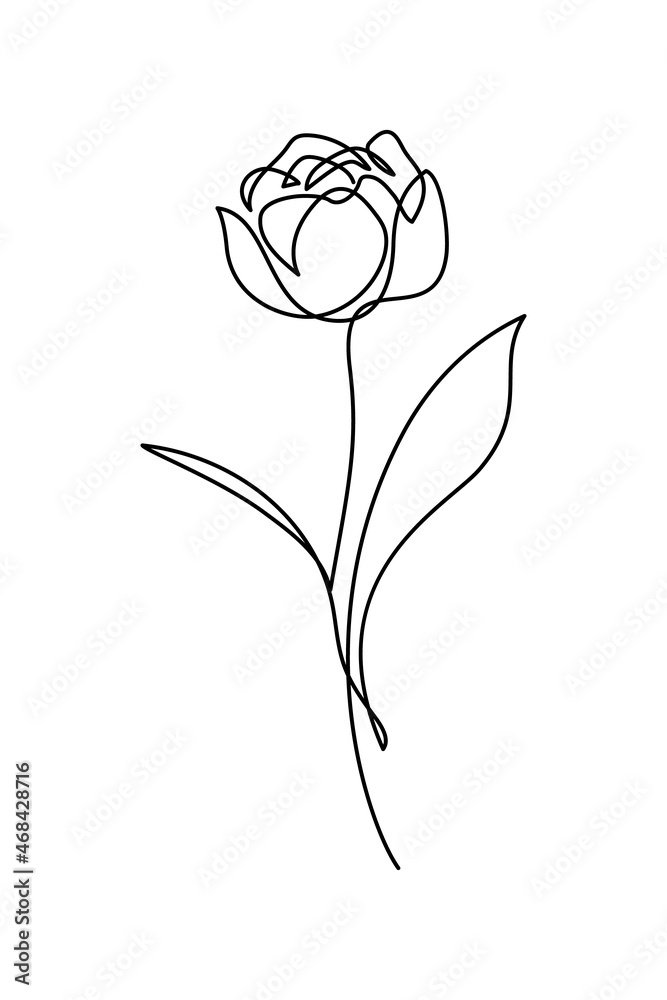 Peony tulip in continuous line art drawing style. Beautiful double flower tulip black linear sketch isolated on white background. Vector illustration Peony tulip in continuous line art drawing style. Beautiful double flower tulip black linear sketch isolated on white background. Vector illustration