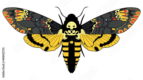 Foto Acherontia atropos butterfly