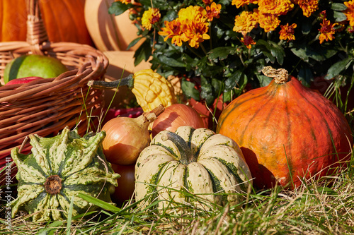 Still-life. Harvest pumpkins of green, orange, yellow color on the grass against the background of a haystack.