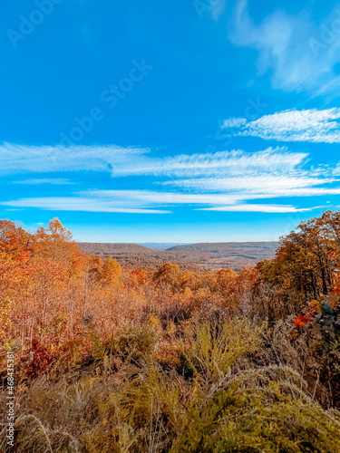 Fall Autumn foliage during October.