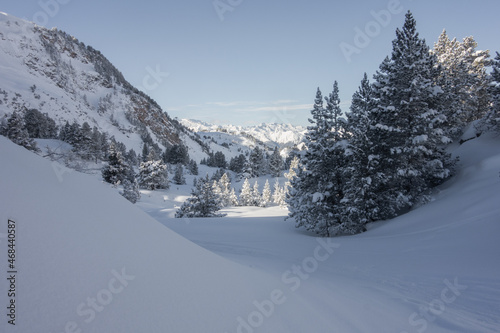 snowy landscape © ChemaVelasco