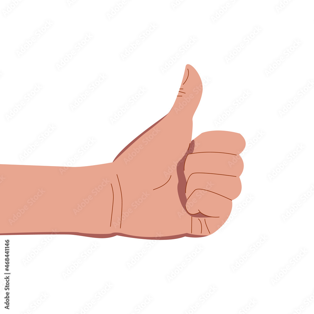 Thumb up. Like finger OK. Stock vector illustration of cartoon hand on white background.