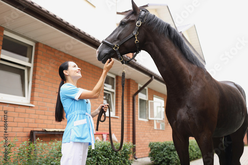 Female doctor veterinarian examining horse on farm
