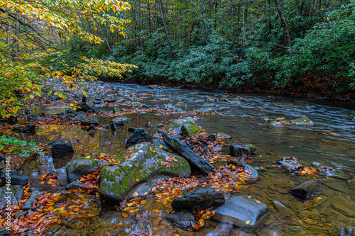 Fall Color and Dunloup Creek  Near Thurmond, New River Gorge National Park, West Virginia, USA photo