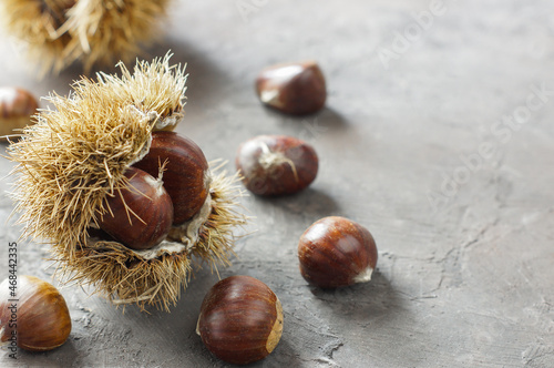 Fresh raw chestnuts on rustic table, Chestnut with thorny branch