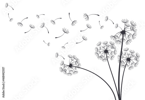 Dandelion blowball botanical plant fluffy flying seeds. Decorative blooming dandelions with fluffy flying seeds vector background illustration. Hand drawn fluffy dandelions photo
