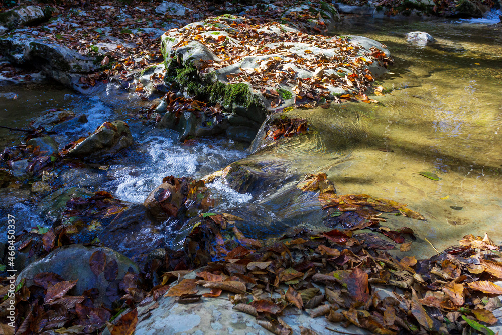 Autumn in the mountains, a mountain river, a calm current, a sunny morning, fallen leaves, with a reflection in the water. Autumn in the mountains, a mountain river, a calm current, a sunny morning, fallen leaves, with a reflection in the water.