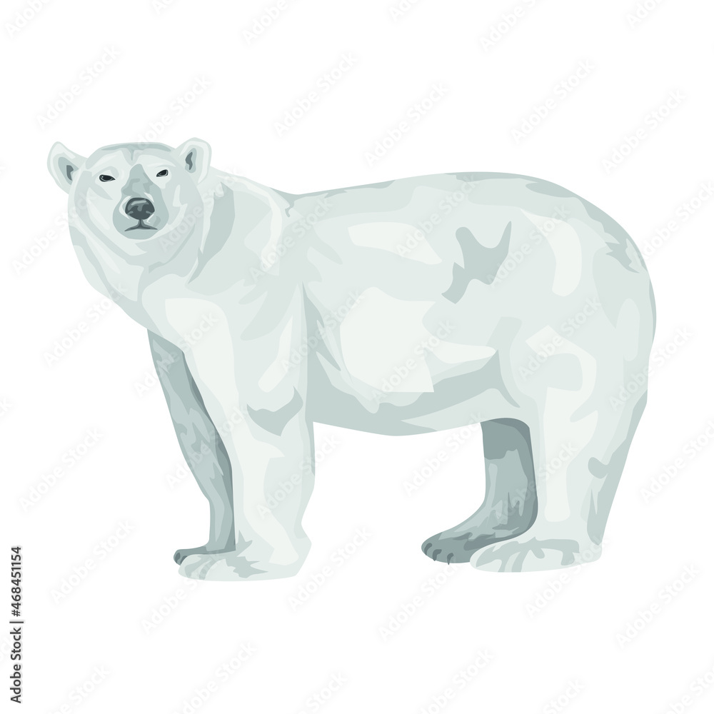 Fototapeta premium adult polar bear stands isolated on a white background. Polar bear. Northern animals. Vector