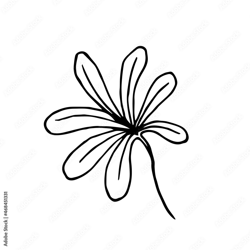 Sketch tropical leaf in line art style. Doodle outline jungle plant. Hand drawn exotic leaves vector illustration isolated on white background